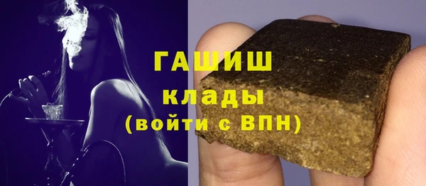 молекула духа Осташков