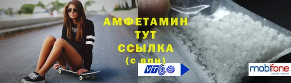 гашик Осинники