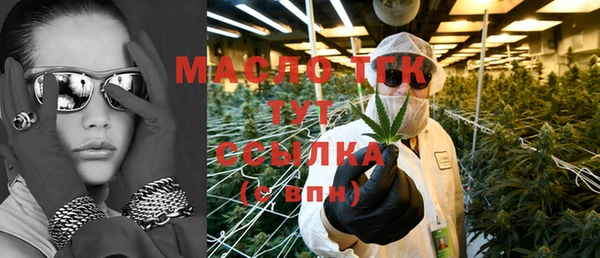 молекула духа Осташков