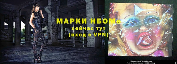 гашик Осинники