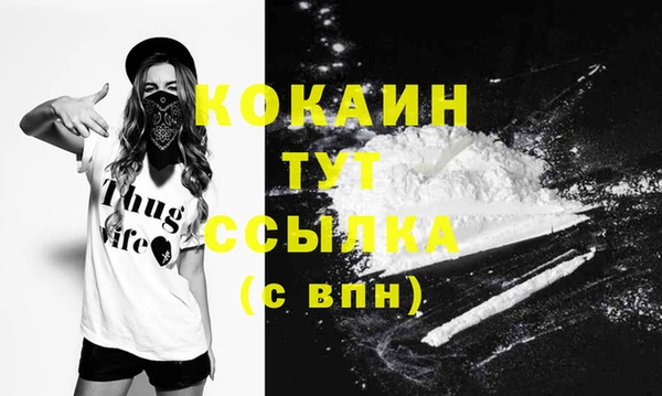 молекула духа Осташков