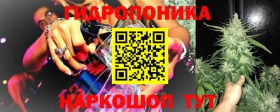 стаф Балаково