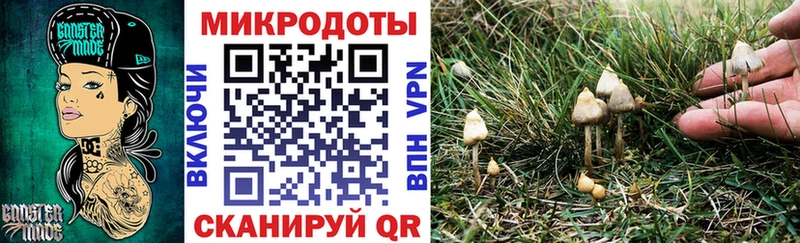 Псилоцибиновые грибы MAGIC MUSHROOMS  наркотики  hydra маркетплейс  Борисоглебск 