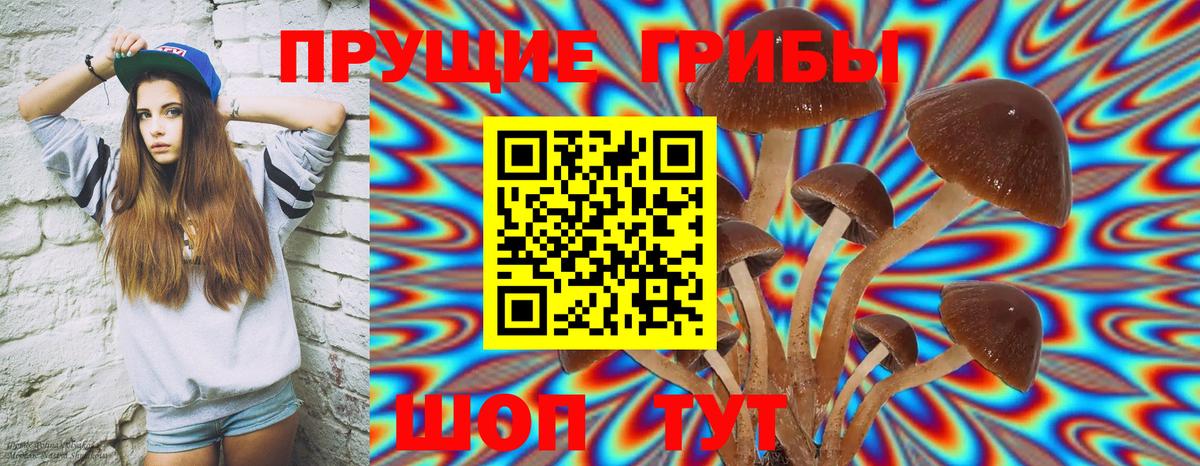 Борисоглебск  Галлюциногенные грибы мицелий  Вход с VPN  Галлюциногенные грибы мицелий 