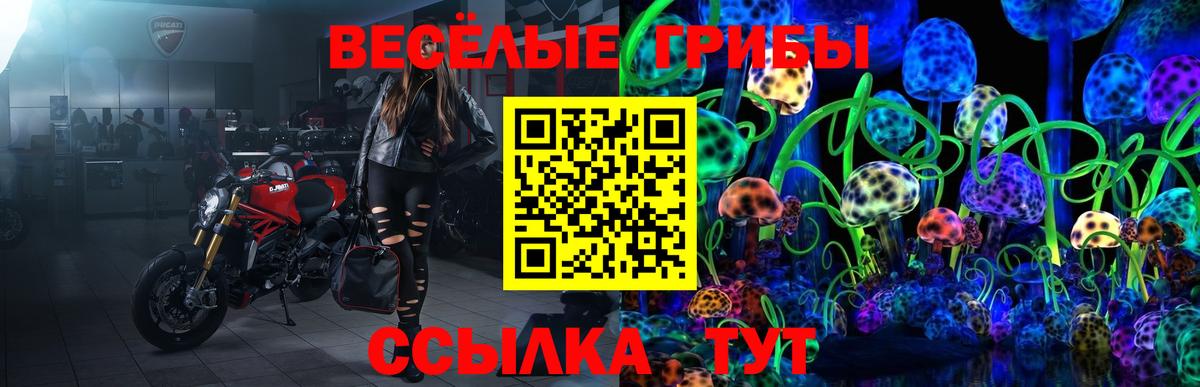 Галлюциногенные грибы GOLDEN TEACHER Борисоглебск